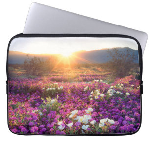 Wildblumen bei Sonnenuntergang Anza-Borrego-Wüst Laptopschutzhülle