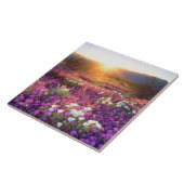 Wildblumen bei Sonnenuntergang | Wüste Anza-Borreg Fliese (Seite)