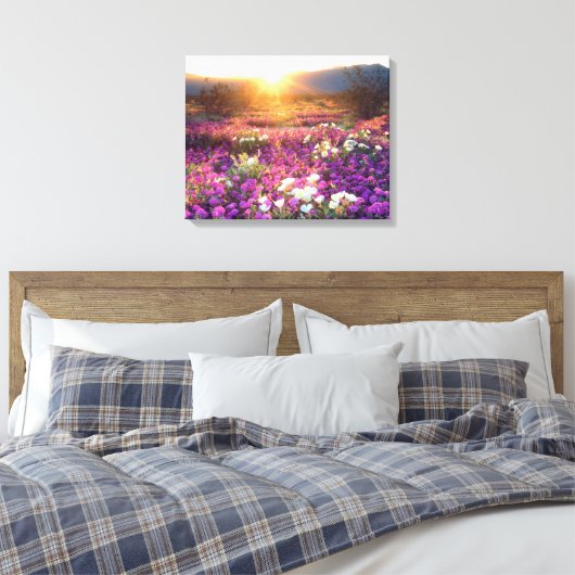Wildblumen bei Sonnenuntergang | Wüste Anza-Borreg Leinwanddruck (Insitu (Schlafzimmer))