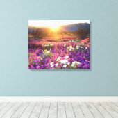 Wildblumen bei Sonnenuntergang | Wüste Anza-Borreg Leinwanddruck (Insitu (Holzboden))