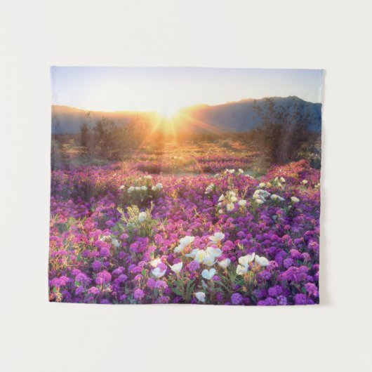Wildblumen bei Sonnenuntergang | Wüste Anza-Borreg Wandteppich (Vorderseite (Horizontal))