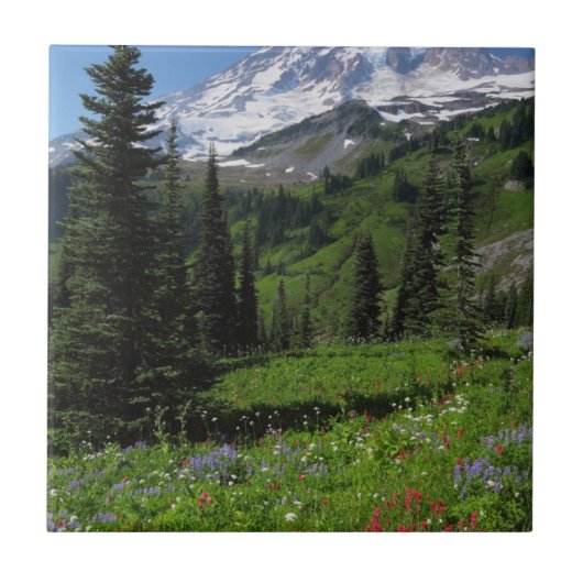 Wildblumen beim Mount Rainier Fliese (Vorderseite)