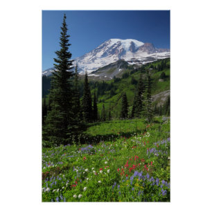 Wildblumen beim Mount Rainier Poster