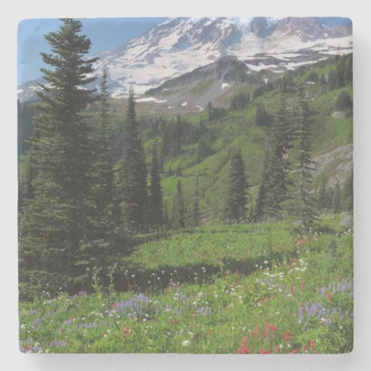 Wildblumen beim Mount Rainier Steinuntersetzer (Vorderseite)