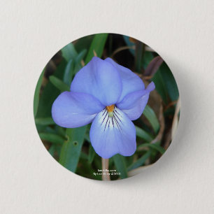 Wildblumen Birds-Foot Violet IV Hot Springs Gesche Button