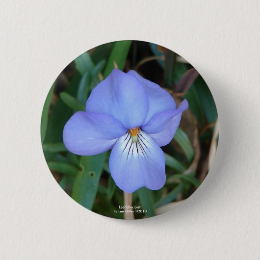 Wildblumen Birds-Foot Violet IV Hot Springs Gesche Button (Vorderseite)