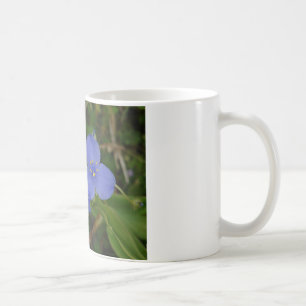 Wildblumen Blue Spiderwort Heiße Quellen AR Gesche Kaffeetasse