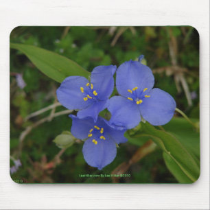 Wildblumen Blue Spiderwort Heiße Quellen AR Gesche Mousepad