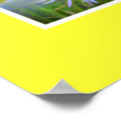 Wildblumen Blumenart Poster (Ecke)