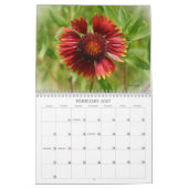 Wildblumen Blumenkalender Blume Kalender (Feb 2027)
