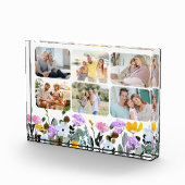 Wildblumen-Blumenrand 6 Fotoblock (Rechts)