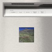 Wildblumen, Blüten, Alpen, Schweiz Magnet (In Situ (Geschirrspüler))