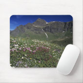 Wildblumen, Blüten, Alpen, Schweiz Mousepad (Mit Mouse)