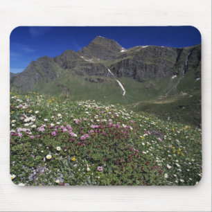 Wildblumen, Blüten, Alpen, Schweiz Mousepad