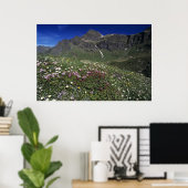 Wildblumen, Blüten, Alpen, Schweiz Poster (Heimbüro)