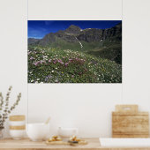 Wildblumen, Blüten, Alpen, Schweiz Poster (Küche)