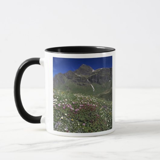 Wildblumen, Blüten, Alpen, Schweiz Tasse (Links)