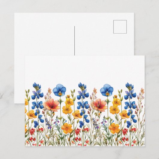 Wildblumen botanischer Garten Postkarte (Vorne/Hinten)