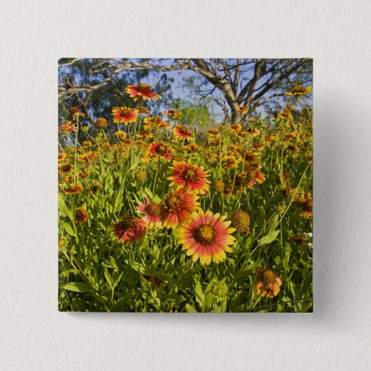 Wildblumen Button (Vorderseite)