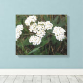 Wildblumen Canvas Leinwanddruck (Insitu (Holzboden))