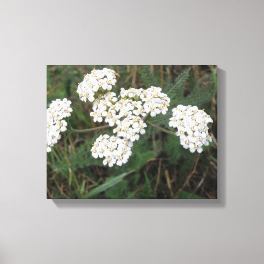 Wildblumen Canvas Leinwanddruck (Vorderseite)