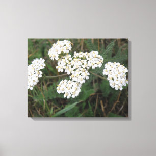 Wildblumen Canvas Leinwanddruck