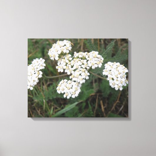 Wildblumen Canvas Leinwanddruck (Vorderseite)
