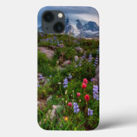 Wildblumen