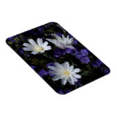 Wildblumen Chicoros und Phacelia Magnet (Rechte Seite)