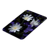 Wildblumen Chicoros und Phacelia Magnet (Linke Seite)
