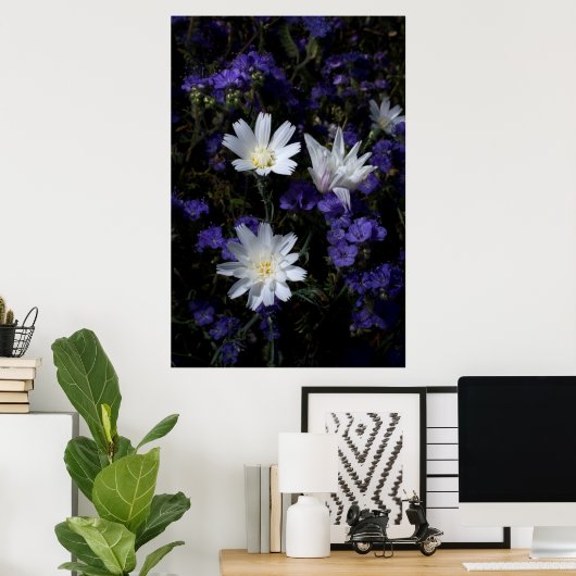Wildblumen Chicoros und Phacelia Poster (Heimbüro)