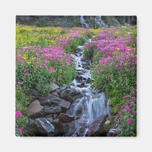 Wildblumen, Clements Mountain, Montana Magnet (Vorne)