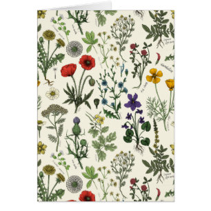 Wildblumen-Collage