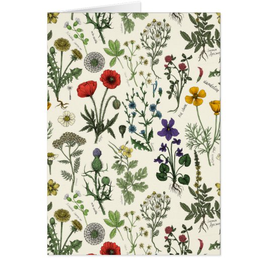 Wildblumen-Collage (Vorne)