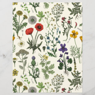 Wildblumen-Collage