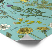 Wildblumen-Collage auf Blau Poster (Ecke)