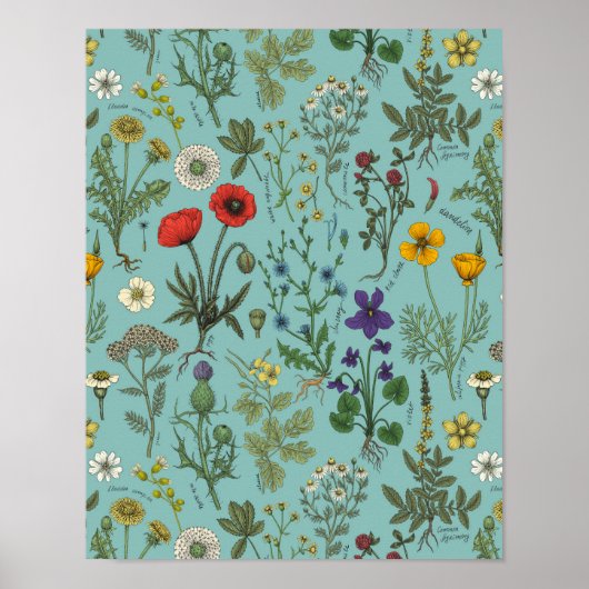 Wildblumen-Collage auf Blau Poster (Vorne)