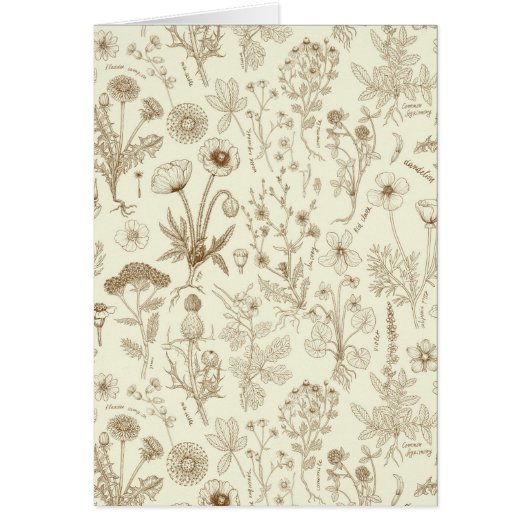 Wildblumen-Collage/ beige und sepia (Vorne)