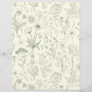 Wildblumen-Collage/ cremeweiß und Salbei