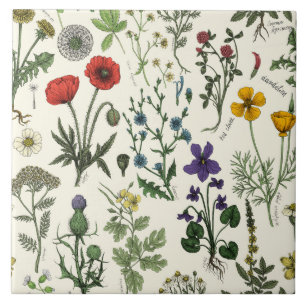 Wildblumen-Collage Fliese