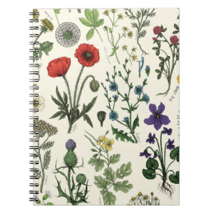 Wildblumen-Collage Notizblock