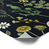 Wildblumen-Collage Poster (Ecke)