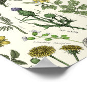 Wildblumen-Collage Poster (Ecke)