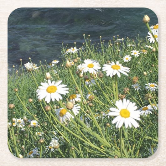 Wildblumen, Cove La Jolla, CA Rechteckiger Pappuntersetzer (Vorderseite)