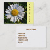 WILDBLUMEN DAISY VISITENKARTE (Vorne/Hinten)