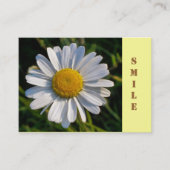 WILDBLUMEN DAISY VISITENKARTE (Vorderseite)