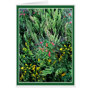 Wildblumen der Außenbanken