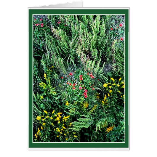 Wildblumen der Außenbanken (Vorne)