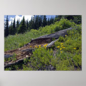 Wildblumen der gefallenen Bäume und Berge Poster (Vorne)