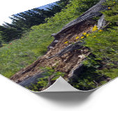 Wildblumen der gefallenen Bäume und Berge Poster (Ecke)